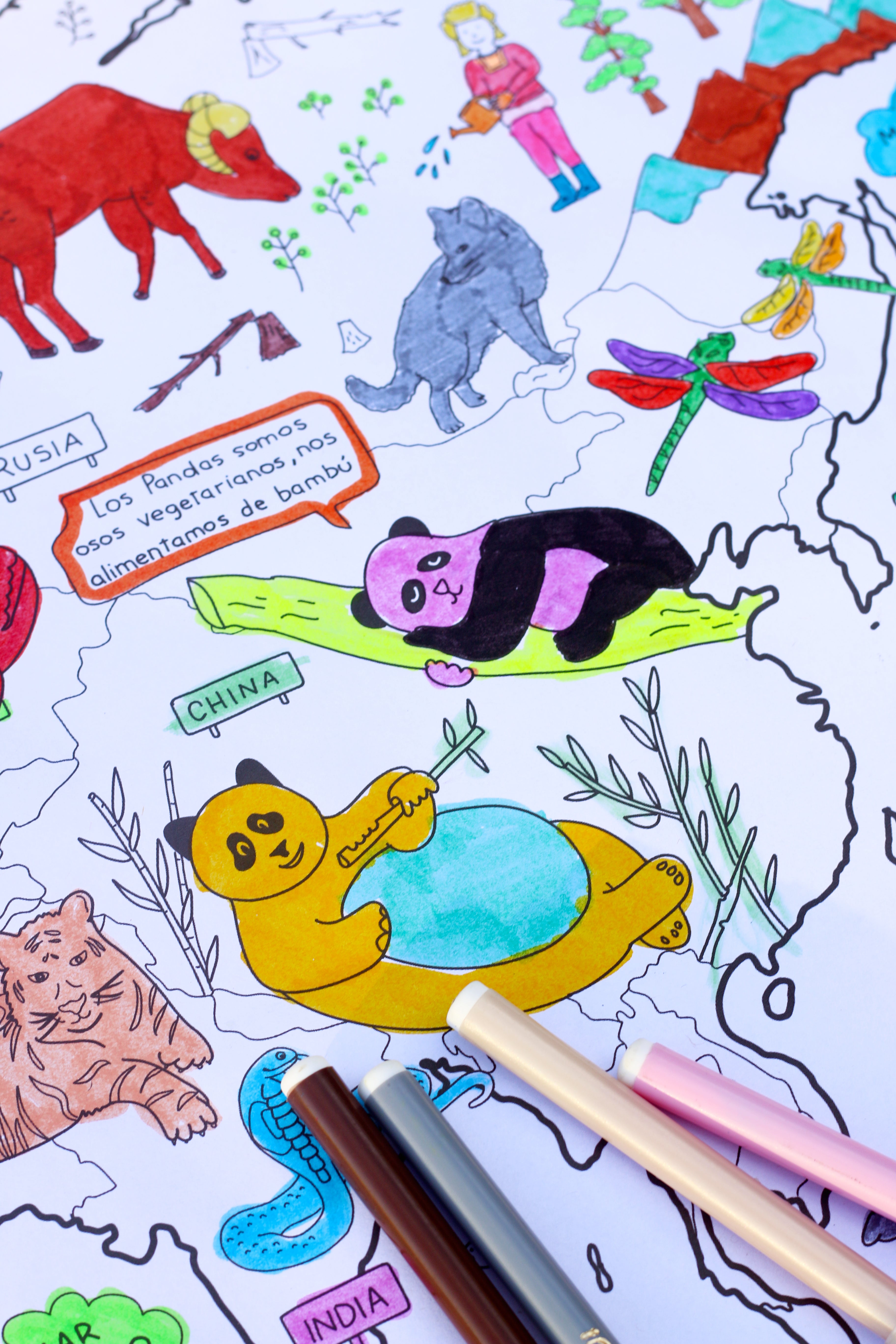 Mapa PROYECTO HÉROES DE LA NATURALEZA