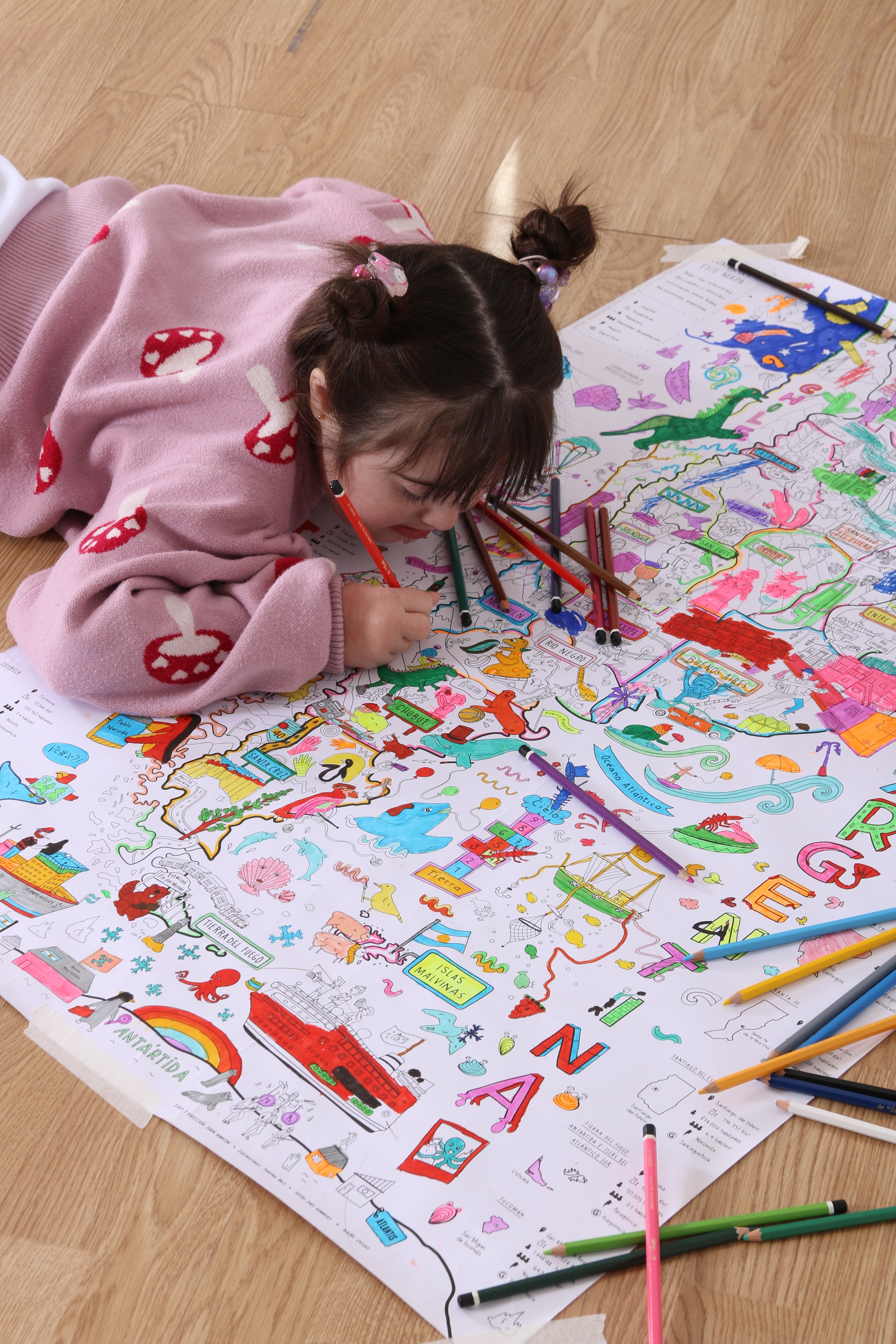 Mapa PROYECTO ARGENTINA