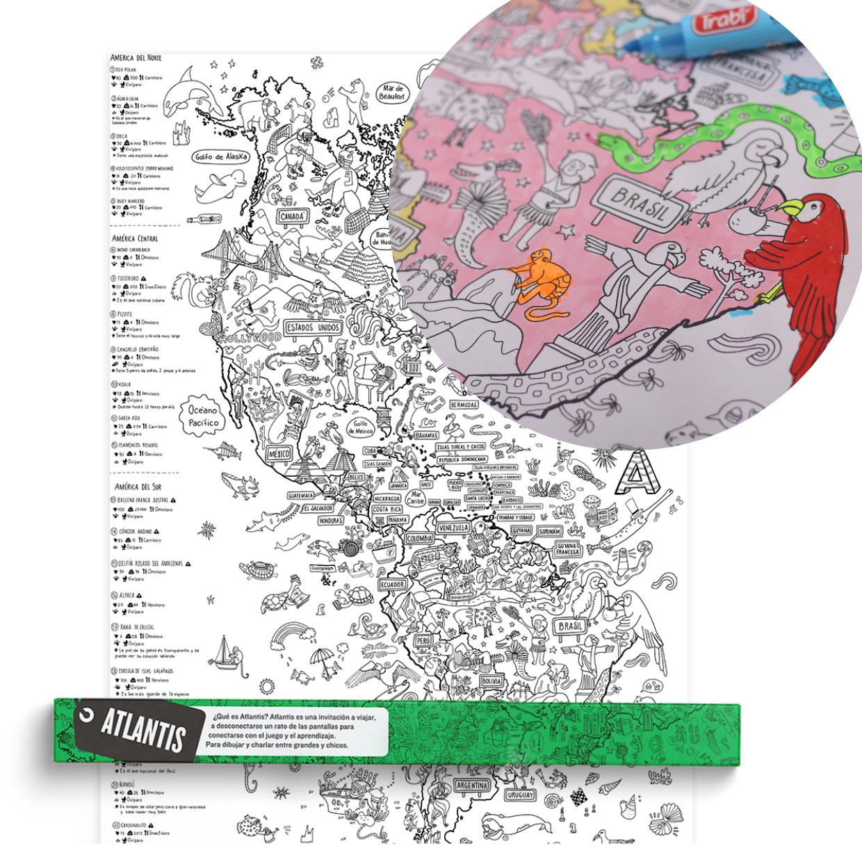 Mapa PROYECTO ANIMALES DE AMÉRICA